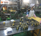 SS304 Dried Fruit Production Line Pineapple Processing Machinery CE Certification