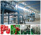 Automatic Beverage Processing Plant Machinery / Dates And Jujube Processing Line