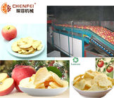 1000kg/H Apple Pear Dried Fruit Production Line Peeled Core Machine