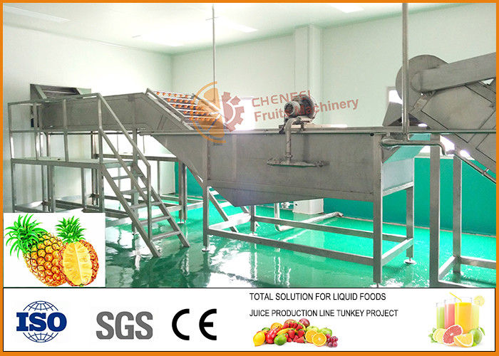 Turnkey Fresh Pineapple Processing Line 3T/H Capacity CFM-B-02-03T