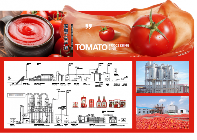 Complete Tin Can Ketchup Tomato Paste Production Line 1 Year Warranty