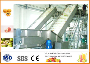 CFM-B-035T/H Fruit Juice Production Line turnkey Peach Apricot And Plum
