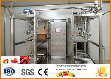 CFM-B-035T/H Fruit Juice Production Line turnkey Peach Apricot And Plum