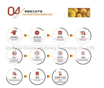 SS304 Complete Cili Fruit Juice Production Line Industrial 380V / 220V Voltage