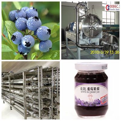 Blueberry Beverage Production Equipment SS304 Material Easy Operation