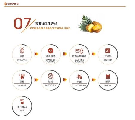 SS304 Dried Fruit Production Line Pineapple Processing Machinery CE Certification