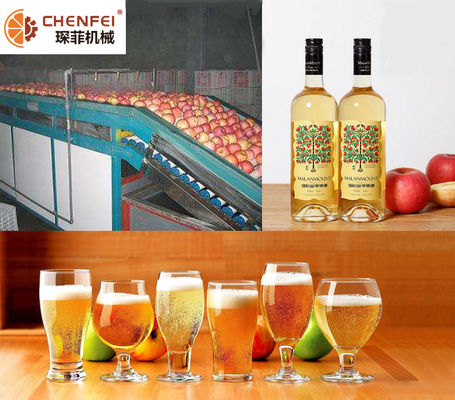 Energy Saving Fermentation Equipment Small Capacity Apple Pear Fruit Wine Production Line