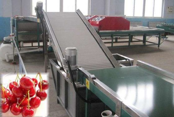 High Efficiency Fruit Juice Making Machine Lychee Wine Light Sweet Processing Machine