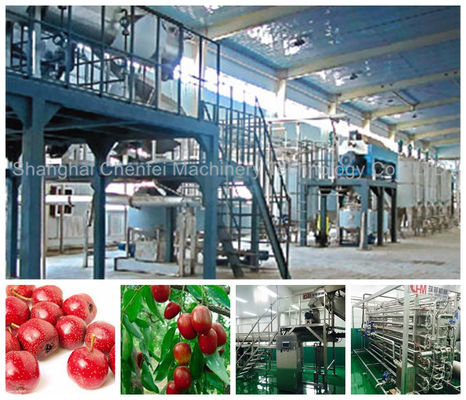 Automatic Beverage Processing Plant Machinery / Dates And Jujube Processing Line