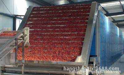 Automatic Beverage Processing Plant Machinery / Dates And Jujube Processing Line