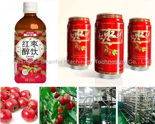 Automatic Beverage Processing Plant Machinery / Dates And Jujube Processing Line