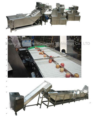 Stainless Steel 304 Dried Fruit Processing Equipment ISO9001 Certification