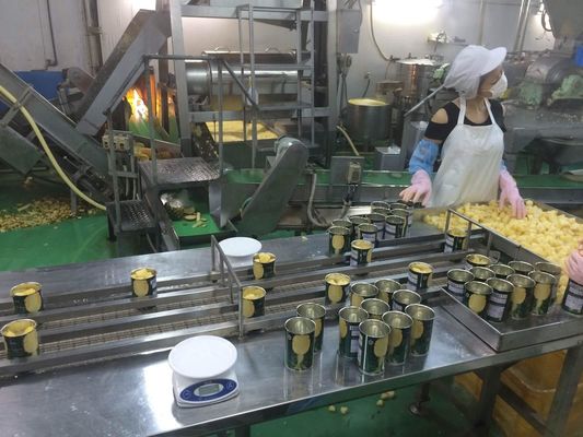 Full Automatic Dried Pineapple Processing Machinery Energy Saving Easy Operation