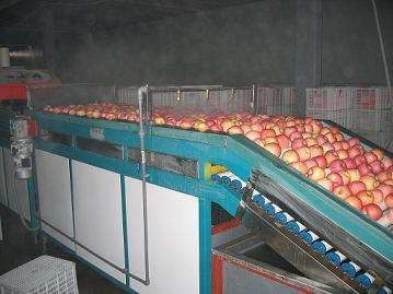 2 Ton Per Day Apple Juice Processing Plant Beverage Processing Line