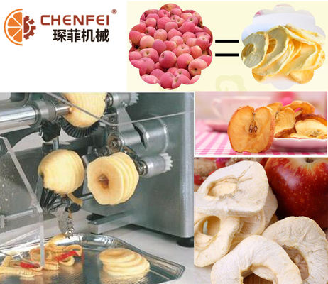 5T/H Dried Apple Production Line / Pear Juice Processing Line Energy Saving