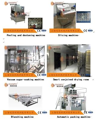 5T/H Dried Apple Production Line / Pear Juice Processing Line Energy Saving