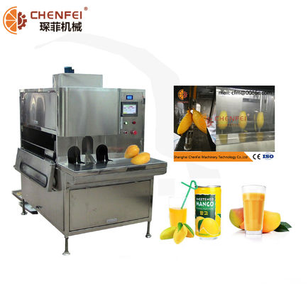 Food Grade SS304 Dried Mango Processing Machine Processing Line 380V / 220V