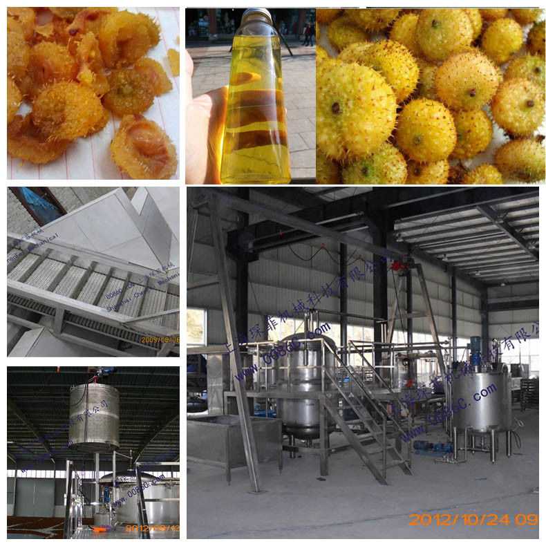 Industrial Cili Fruit Juice Production Line 380V / 220V For Pear Processing