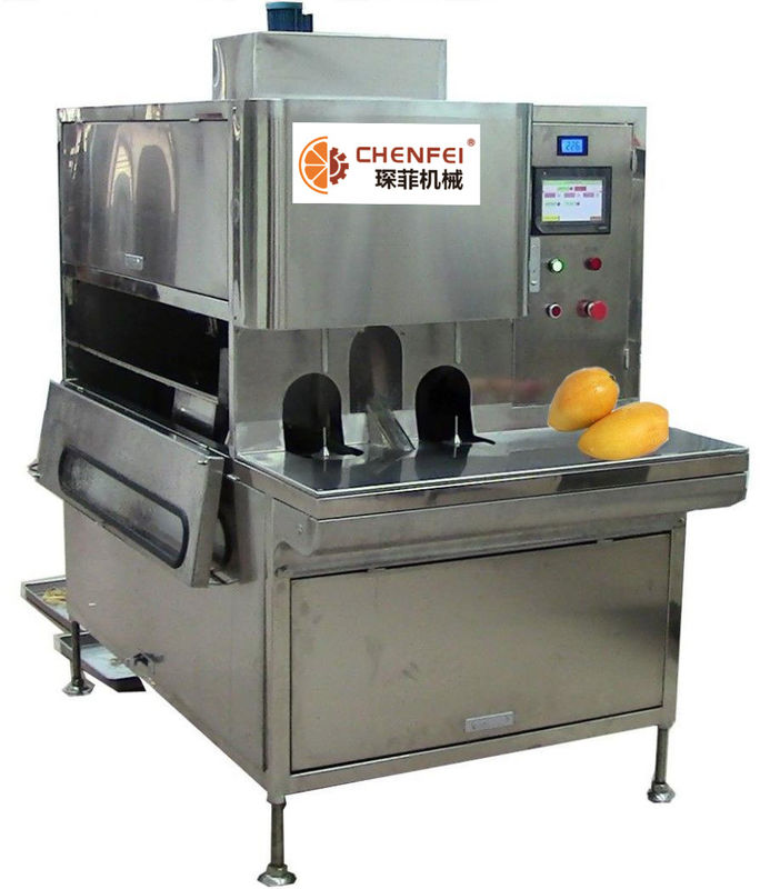 Compact Structure Mango Processing Line Paste Processing Line 5 Tons Per Day